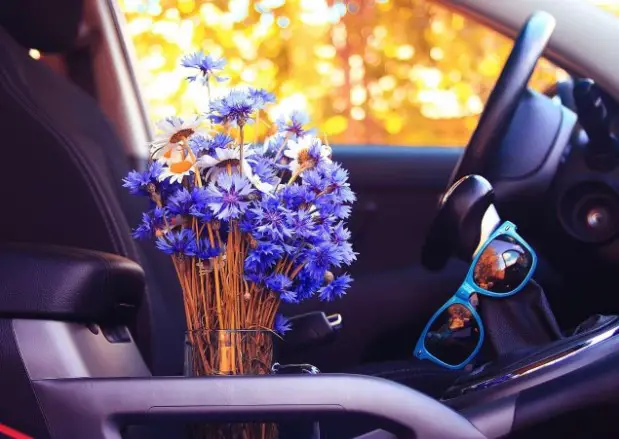 How Long Can Flowers Last In A Car