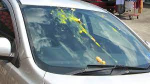 What To Do If Someone Throws Eggs At Your Car