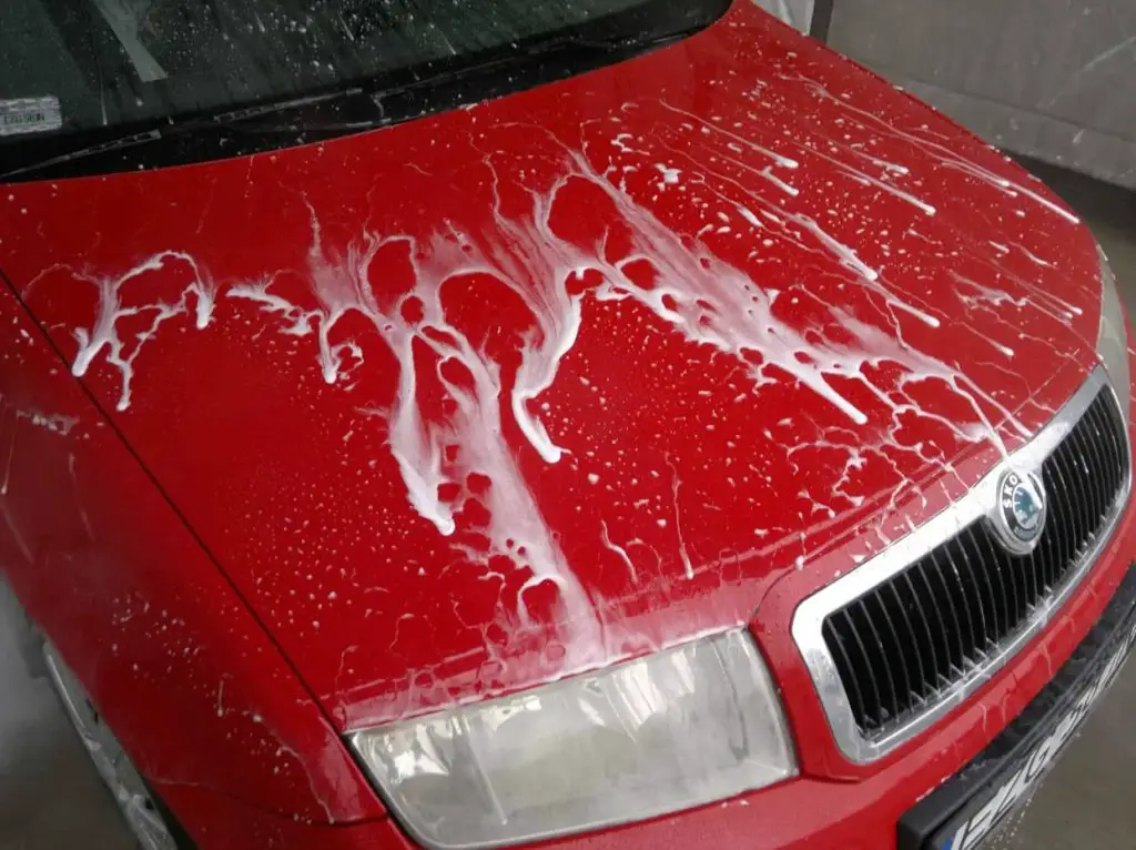 How Much Bleach Does It Take To Ruin a Car? WhatinCar