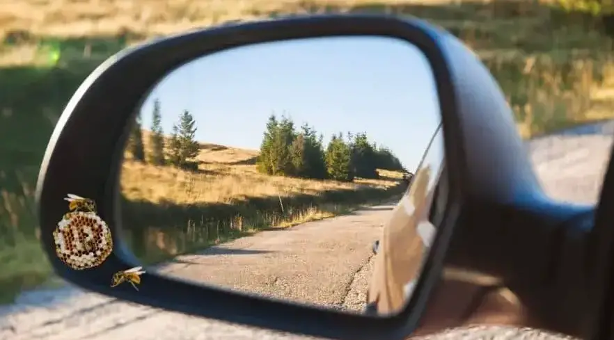 How To Get Rid Of Wasp Nest In Car Mirror